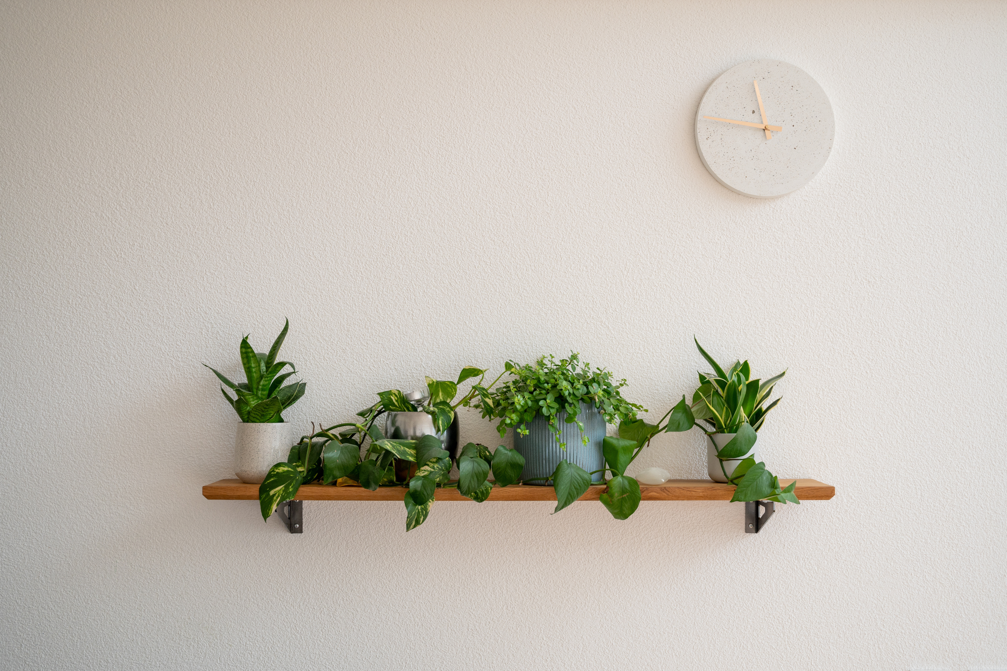 home artworks Regal mit Deko